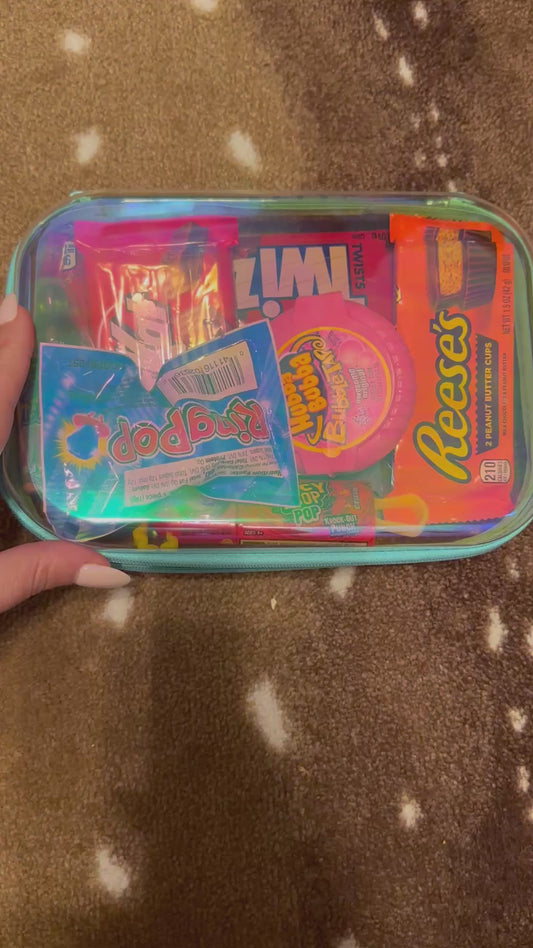 Iridescent Zip Case